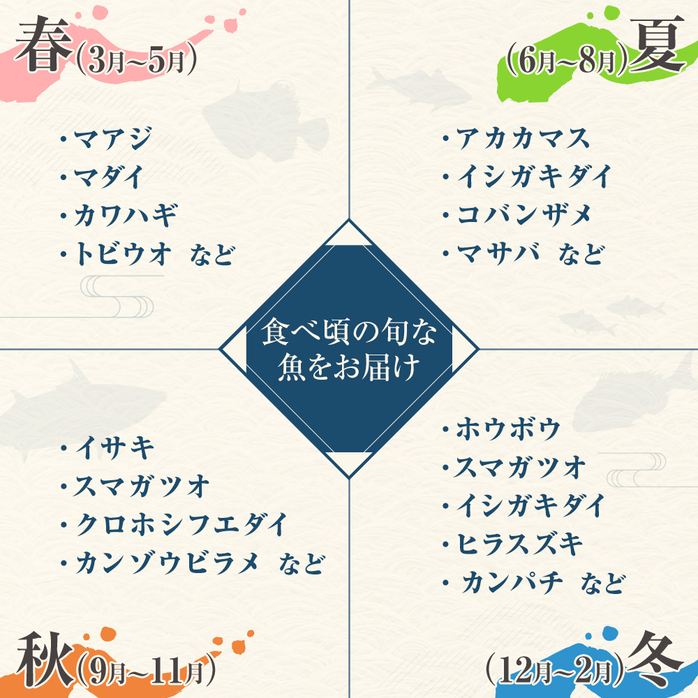 旬の朝獲れ鮮魚詰め合わせ（プレミアム）【2026年10月配送※着日指定不可】【以布利定置網　漁師直送】朝獲れ 旬 鮮魚 魚介 海鮮 魚 さかな せんぎょ 鮮魚セット 詰め合わせ おまかせ お任せ【S00819-10】