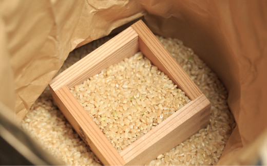 24-854．【令和6年産新米・早期受付】四万十清流の自然米　玄米5kg（コシヒカリ）【2024年9月より順次配送】