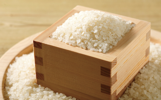 【令和7年産 数量限定】 四万十 の 米どころ 山間地域で育てた 大宮米 コシヒカリ 10kg 高知県 高知 しまんと 国産 お米 米 白米 精米 こしひかり 低農薬栽培 ご飯 産地直送 25-305