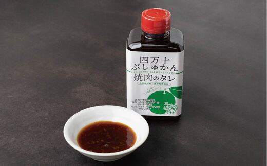 R5-1028．家(うち)に来る“高知”　四万十ぶしゅかん焼肉のたれ　4本セット