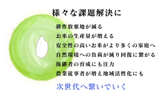 【令和7年産】四万十市産 コシヒカリ 玄米 20kg（栽培期間中農薬・ 化学肥料・除草剤不使用）国産 こしひかり 令和7年産 2025年産 米 おこめ こめ コメ ご飯 ごはん ふっくら もちもち 四国 高知 四万十 しまんと 農薬・化学肥料・除草剤不使用 農家直送 高知県四万十市産 蕨岡の百姓 福留壯 オーガニック 25-0017