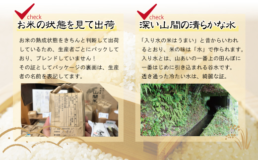 23-865．【令和5年産・5回定期便】四万十川の支流で育った山間米10ｋｇ（5kg×2袋）×5回（計50ｋｇ）（ヒノヒカリ）