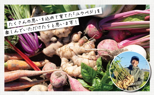 【 2回定期便 早期受付 数量限定 】アグリユウベの冬野菜セット (小) とれたて 新鮮 農家直送 国産 野菜 野菜便 やさい 野菜 冬野菜 産地直送 国産 旬 高知県 四万十市 四万十 しまんと 定期便 【配送月：2027年1月・2月】26-398