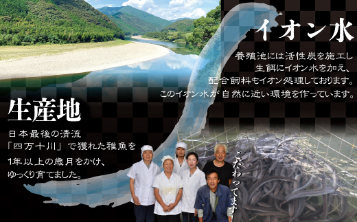 26-012．四万十川優化イオンうなぎ蒲焼5尾（ボイル肝、たれ付き）