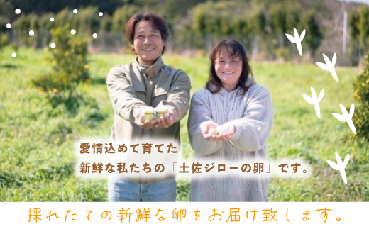 R5-1011．濃厚でコクのある味わい！のびのび育った土佐ジローの自然卵40個（10個入り×4パック）