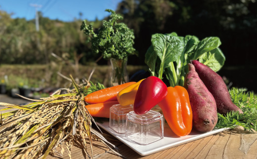 R5-344G．【ギフトにもおすすめ・数量限定】特別栽培野菜と米粉を使用！グルテンフリーオリジナルケーキセット(お試しサイズ)