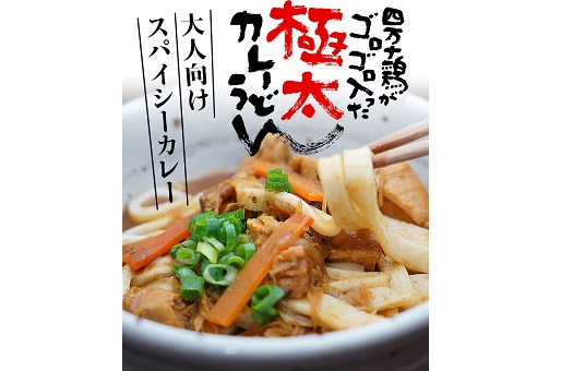 26-185．四万十鶏がゴロゴロ入った極太カレーうどん　５食セット