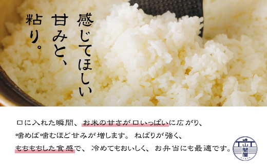 23-866．【令和5年産・12回定期便】四万十川の支流で育った山間米10ｋｇ（5kg×2袋）×12回（計120ｋｇ）（ヒノヒカリ）