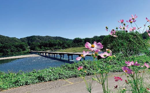 R5-680．【高知・四万十川・サイクリング】　シティサイクルまたはマウンテンバイク　5時間　ペア利用券１枚