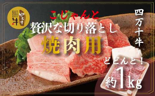 R5-979．幻の四万十牛 こじゃんと贅沢な切り落とし　焼肉用（黒毛和牛）　約1ｋｇ