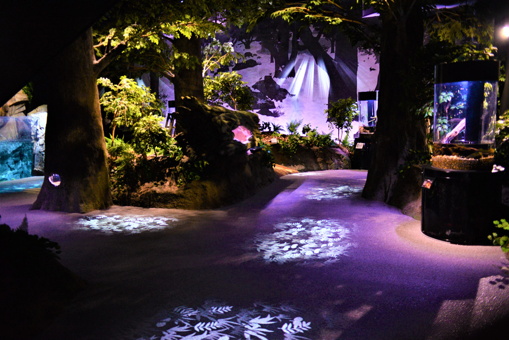 26-961．おもてなしタクシー⑥「竜串コース」3.5時間