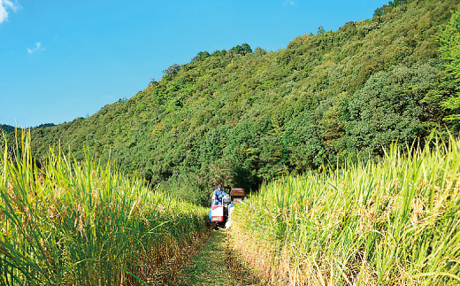 24-990．【令和6年産新米・早期受付】四万十市の中山間地域の里山で育まれる貴重なお米「しまんとのお米（ヒノヒカリ）」5kg【2024年11月中旬より順次発送】