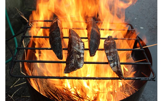 R5-040．老舗魚屋大将が厳選した本格カツオ藁焼きタタキセット（600ｇ）