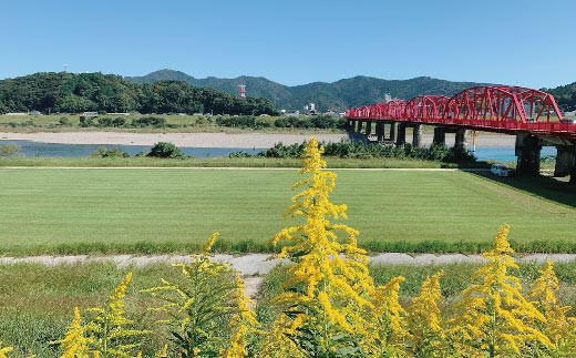 R5-682．【高知・四万十川・サイクリング】　楽々！電動アシスト付き自転車レンタサイクル5時間　ペア利用券１枚