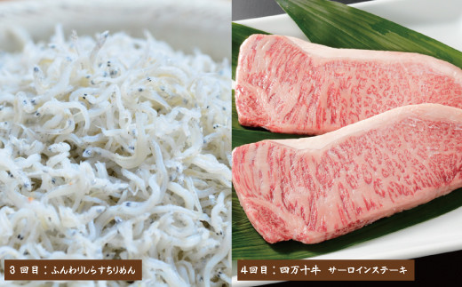 26-068．【7ヵ月連続定期便】四万十市人気魚介＆お肉返礼品