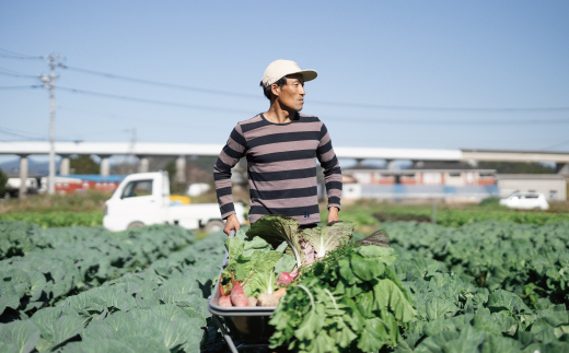 【 2回定期便 早期受付 数量限定 】アグリユウベの冬野菜セット (小) とれたて 新鮮 農家直送 国産 野菜 野菜便 やさい 野菜 冬野菜 産地直送 国産 旬 高知県 四万十市 四万十 しまんと 定期便 【配送月：2027年1月・2月】26-398