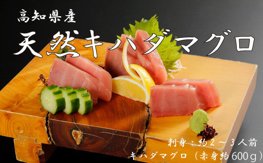 R5-999．お刺身や漬け丼に！　天然まぐろ　キハダマグロ（赤身）約600g　刺身：2〜3人前
