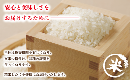 R5-153．【令和5年産】香り米ヒエリ入りオリジナルブレンド米「四万十のかおり」10kg（5kg×2袋）