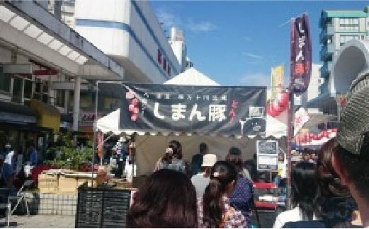 R5-039．秘伝のタレに漬け込んだ「しまん豚(とん)」のやみつき豚はらみ串10本(約800g)セット