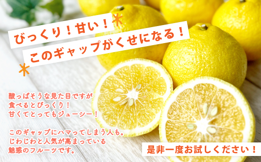 24-350．【早期受付・期間限定・数量限定】爽やかな甘さ！なるた果樹園の四万十市産 はるか7kg (家庭用) 【配送時期：2025年2月下旬～4月上旬】