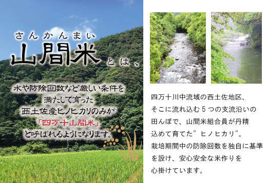 	23-860．【令和5年産・3回定期便】四万十川の支流で育った山間米5ｋｇ×3回（計15ｋｇ）（ヒノヒカリ）