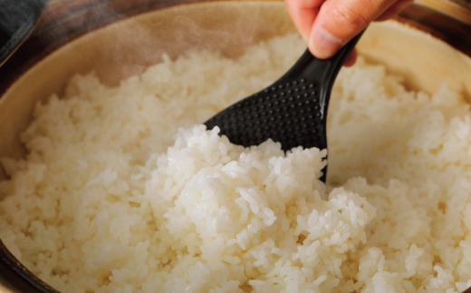 米 10kg 【 令和7年産 】 四万十 の こしひかり 5kg ×2袋 国産 1等米 予約 コシヒカリ 精米 お米 白米 ごはん ご飯 おいしい ふっくら もちもち 高知県 高知 四万十市 しまんと 土佐 R8-149