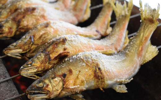 26-838．炭火でじっくり焼いた四万十川天然鮎の塩焼き(3～4匹)