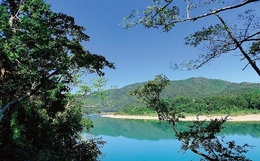 R5-124．四万十川観光遊覧船　ペア食事付乗船券