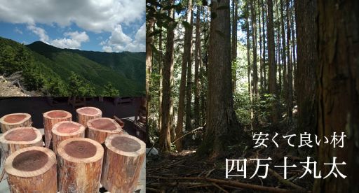 26-011．四万十ひのき丸太イス