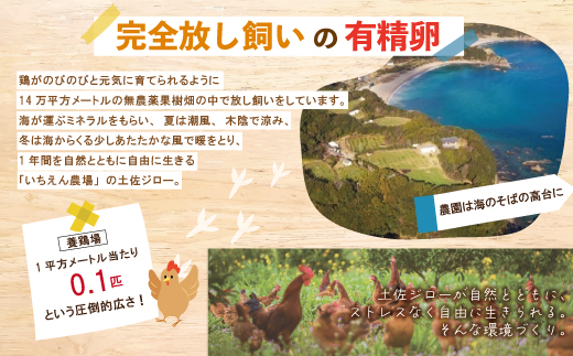 R5-1011．濃厚でコクのある味わい！のびのび育った土佐ジローの自然卵40個（10個入り×4パック）