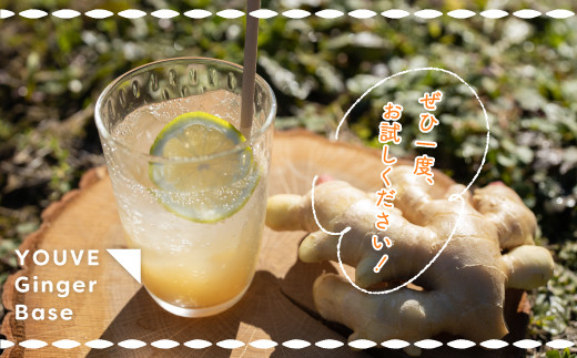 生姜好きさんにオススメ！ 濃厚 しょうがシロップ 3種セット【あまくち・中辛・超辛口】国産 生姜シロップ 自家製 生姜 しょうが ショウガ ジンジャー シロップ ドリンク 調味料 高知 四万十 四万十市 しまんと 産地直送 25-759