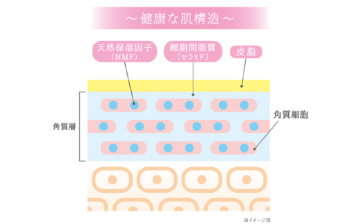 26-193．数量限定！呼吸肌 洗顔フォーム 120g　(2本セット)
