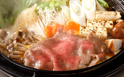 R6-067．【4ヵ月連続定期便】四万十市人気魚介＆お肉返礼品