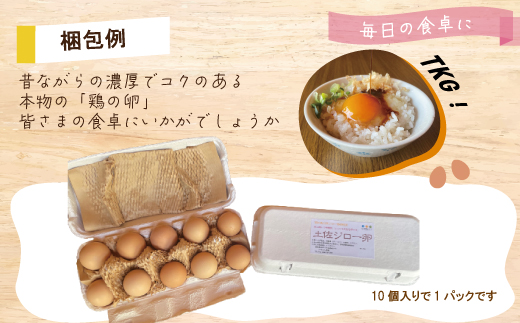 R5-1010．濃厚でコクのある味わい！のびのび育った土佐ジローの自然卵20個（10個入り×2パック）