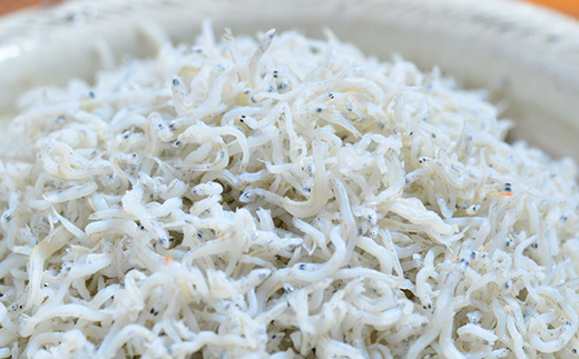 26-636．【定期便】老舗海産物店の土佐黒潮ふんわりしらす650g【2カ月に1回／全6回】（合計3.9kg）