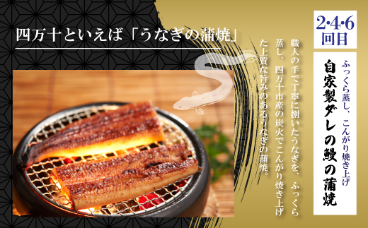6回 定期便 うなぎ の 蒲焼 と 鰹のタタキ 月替わり 定期便 冷凍 海の幸 川の幸 川魚 魚 魚介 かつお カツオ 鰹 藁焼き たたき タタキ ウナギ 鰻 鰻の蒲焼 ご当地 グルメ ごちそう 総菜 おかず 四国 高知 四万十 しまんと 新鮮 26-847