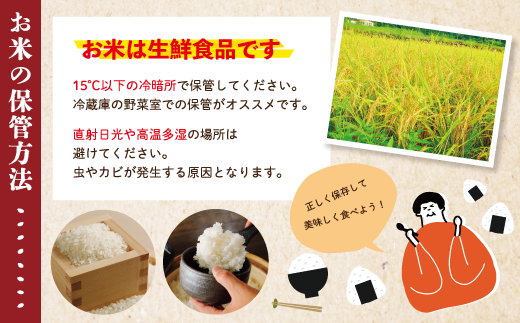 米 10kg 【 令和7年産 】 四万十 の こしひかり 5kg ×2袋 国産 1等米 予約 コシヒカリ 精米 お米 白米 ごはん ご飯 おいしい ふっくら もちもち 高知県 高知 四万十市 しまんと 土佐 R8-149