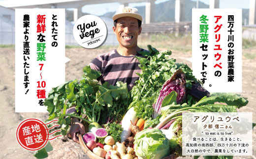 【 2回定期便 早期受付 数量限定 】アグリユウベの冬野菜セット (小) とれたて 新鮮 農家直送 国産 野菜 野菜便 やさい 野菜 冬野菜 産地直送 国産 旬 高知県 四万十市 四万十 しまんと 定期便 【配送月：2027年1月・2月】26-398