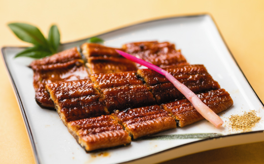 26-411．【4ヵ月連続定期便】四万十市人気魚介返礼品を集めた定期便