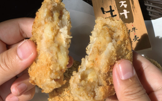 R5-017．四万十牛100%！煮込みハンバーグ・四万十牛コロッケセット （ハンバーグ4個・コロッケ5個 ）