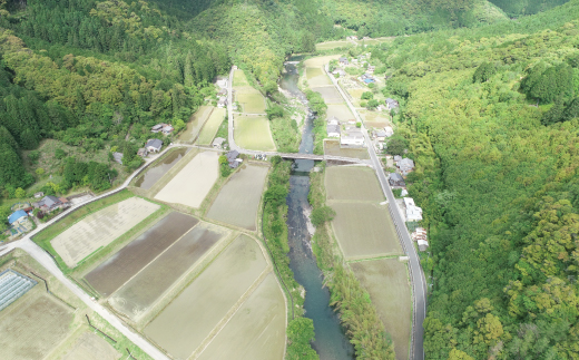 【令和7年産 数量限定】 四万十 の 米どころ 山間地域で育てた 大宮米 ヒノヒカリ 10kg 高知県 高知 しまんと 国産 お米 米 白米 精米 ひのひかり 低農薬栽培 ご飯 産地直送 26-789