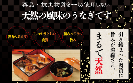26-012．四万十川優化イオンうなぎ蒲焼5尾（ボイル肝、たれ付き）