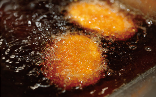 R5-017．四万十牛100%！煮込みハンバーグ・四万十牛コロッケセット （ハンバーグ4個・コロッケ5個 ）