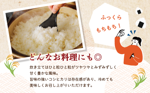 米 10kg 【 令和7年産 】 四万十 の こしひかり 5kg ×2袋 国産 1等米 予約 コシヒカリ 精米 お米 白米 ごはん ご飯 おいしい ふっくら もちもち 高知県 高知 四万十市 しまんと 土佐 R8-149