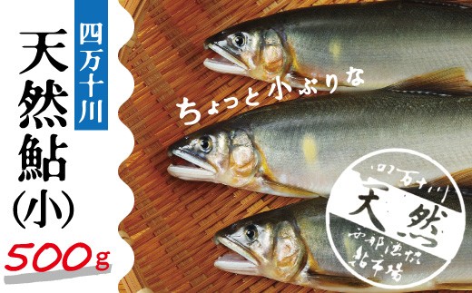 R5-775．四万十川の天然鮎(小)500ｇ(約6～9匹)