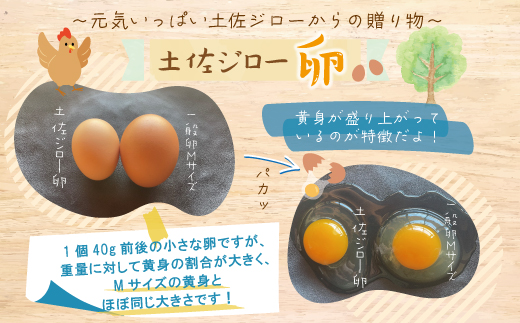 【定期便3回】濃厚でコクのある味わい！のびのび育った土佐ジローの自然卵40個（10個入り×4パック）【合計120個】卵 玉子 たまご 鶏卵 土佐ジローの卵 土佐ジロー 自然卵 新鮮 旨味 濃厚 コク おいしい 自慢 こだわり卵 高知 高知県 四万十市 産地直送 送料無料 26-1015