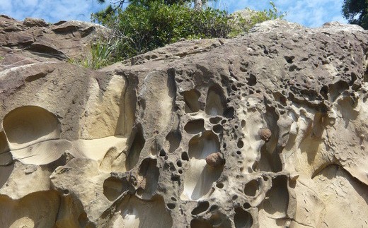 26-961．おもてなしタクシー⑥「竜串コース」3.5時間