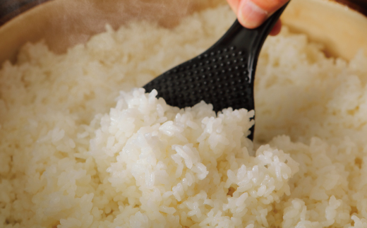 【令和7年産 数量限定】 四万十 の 米どころ 山間地域で育てた 大宮米 ヒノヒカリ 10kg 高知県 高知 しまんと 国産 お米 米 白米 精米 ひのひかり 低農薬栽培 ご飯 産地直送 26-789