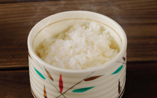 米 10kg 【 令和7年産 】 四万十 の こしひかり 5kg ×2袋 国産 1等米 予約 コシヒカリ 精米 お米 白米 ごはん ご飯 おいしい ふっくら もちもち 高知県 高知 四万十市 しまんと 土佐 R8-149