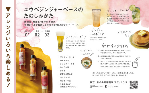 生姜好きさんにオススメ！ 濃厚 しょうがシロップ 3種セット【あまくち・中辛・超辛口】国産 生姜シロップ 自家製 生姜 しょうが ショウガ ジンジャー シロップ ドリンク 調味料 高知 四万十 四万十市 しまんと 産地直送 25-759